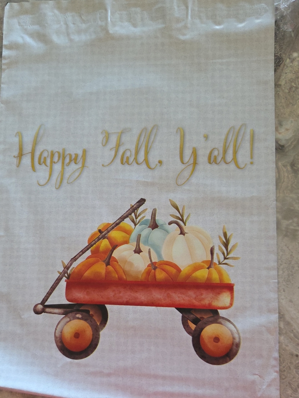 10x13 Poly Mailers Happy Fall, Ya'll set of 30